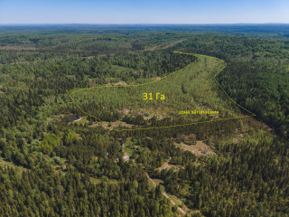 Фотография Продажа земельного участка, 580000 м² , Центральный район №6 Фотография Продажа земельного участка, 580000 м² , Центральный район №6