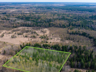 Фотография Продажа помещения свободного назначения, 381 м² , Садовая улица 1 №3 Фотография Продажа помещения свободного назначения, 381 м² , Садовая улица 1 №3