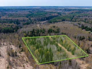 Фотография Продажа помещения свободного назначения, 381 м² , Садовая улица 1 №4 Фотография Продажа помещения свободного назначения, 381 м² , Садовая улица 1 №4