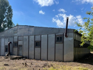 Фотография Продажа помещения свободного назначения, 741 м² , Центральная улица 2 №3 Фотография Продажа помещения свободного назначения, 741 м² , Центральная улица 2 №3