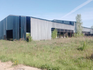 Аренда помещения свободного назначения 2370 м² Райсеменовское-1 территория 1