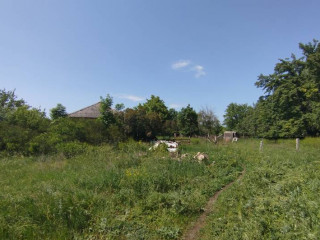 Фотография Продажа помещения свободного назначения, 113 м² , Острогожская улица 109Р №9 Фотография Продажа помещения свободного назначения, 113 м² , Острогожская улица 109Р №9