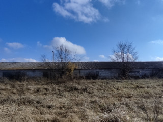Фотография Продажа помещения свободного назначения, 4315 м² , улица Виталия Лизуна 7  №14