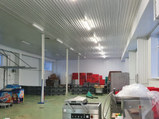 Продажа производственного помещения 5900 м² улица Связи 11