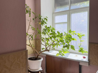 Фотография Аренда помещения свободного назначения, 240 м² , Котельническая набережная 1/15кВ №18 Фотография Аренда помещения свободного назначения, 240 м² , Котельническая набережная 1/15кВ №18