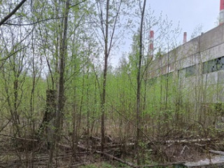 Фотография Продажа производственного помещения, 3620 м² , шоссе Энтузиастов 1 №3 Фотография Продажа производственного помещения, 3620 м² , шоссе Энтузиастов 1 №3