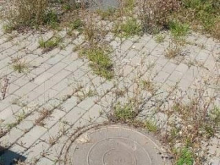 Фотография Продажа производственного помещения, 1446 м² , село Казьминское 2а №6 Фотография Продажа производственного помещения, 1446 м² , село Казьминское 2а №6