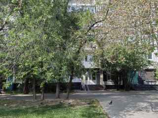 Фотография Аренда помещения свободного назначения, 57 м² , Батайский проезд 51  №7