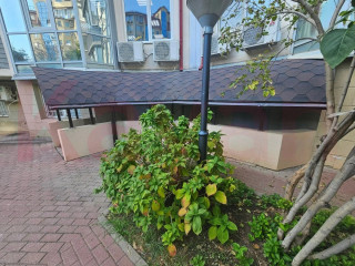 Фотография Аренда помещения свободного назначения, 256 м² , улица Архитектора Ишунина №5
