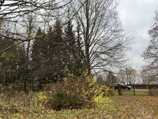 Фотография Продажа помещения свободного назначения, 442 м² , село Ильинское 53  №6
