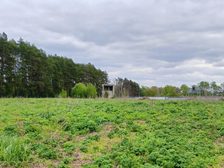Фотография Продажа помещения свободного назначения, 1060 м² , село Боршева 1 №13 Фотография Продажа помещения свободного назначения, 1060 м² , село Боршева 1 №13