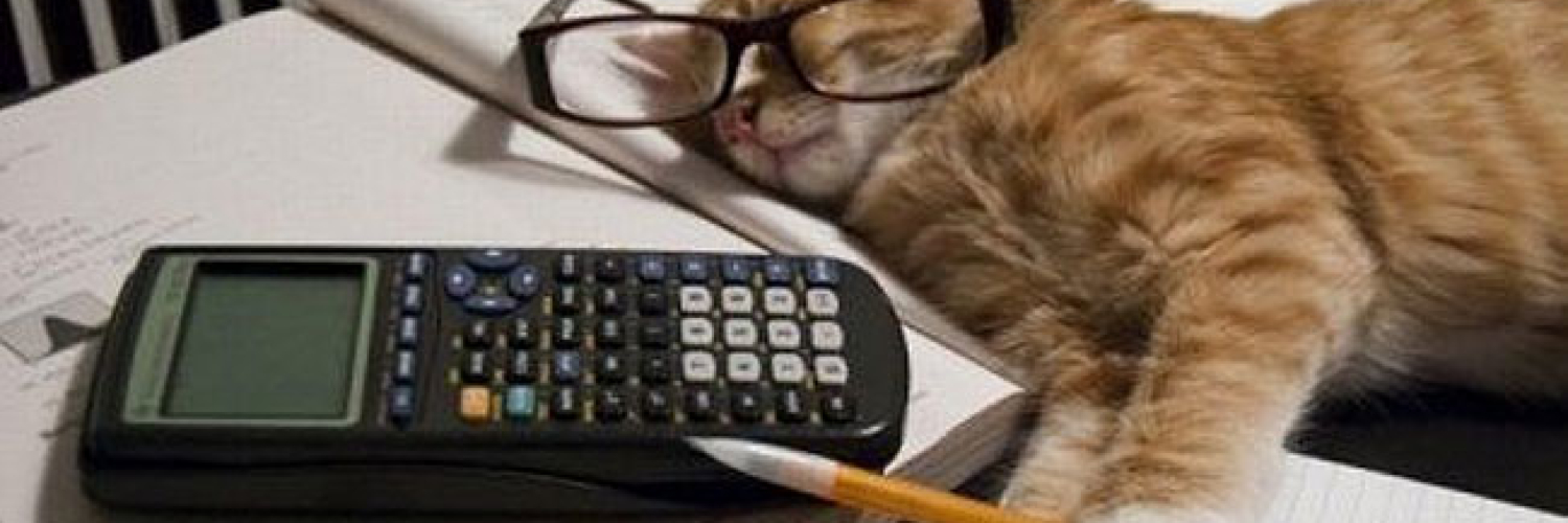 Кошка бухгалтер. Коты бухгалтера. Кот с калькулятором. Животное бухгалтер. Котенок бухгалтер.